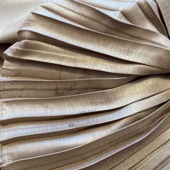 BCBG MaxAzria Pleated Dress - Picture 5 of 6